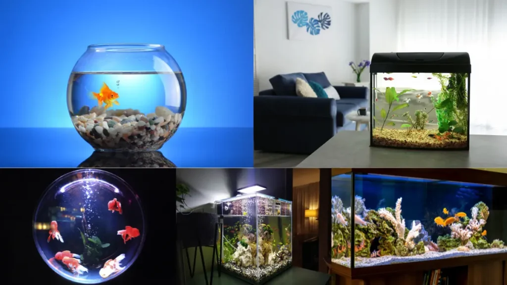 primeiro aquario